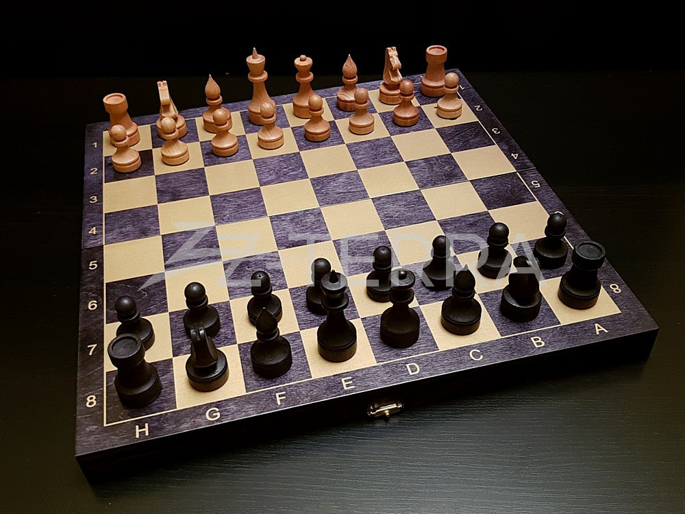 Шахматы "Игрок" черные-золото